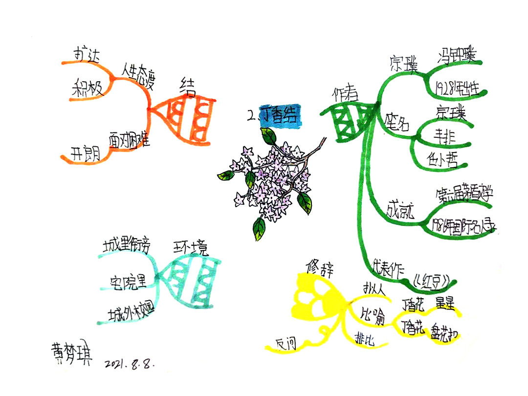 简单漂亮的丁香结思维导图作品