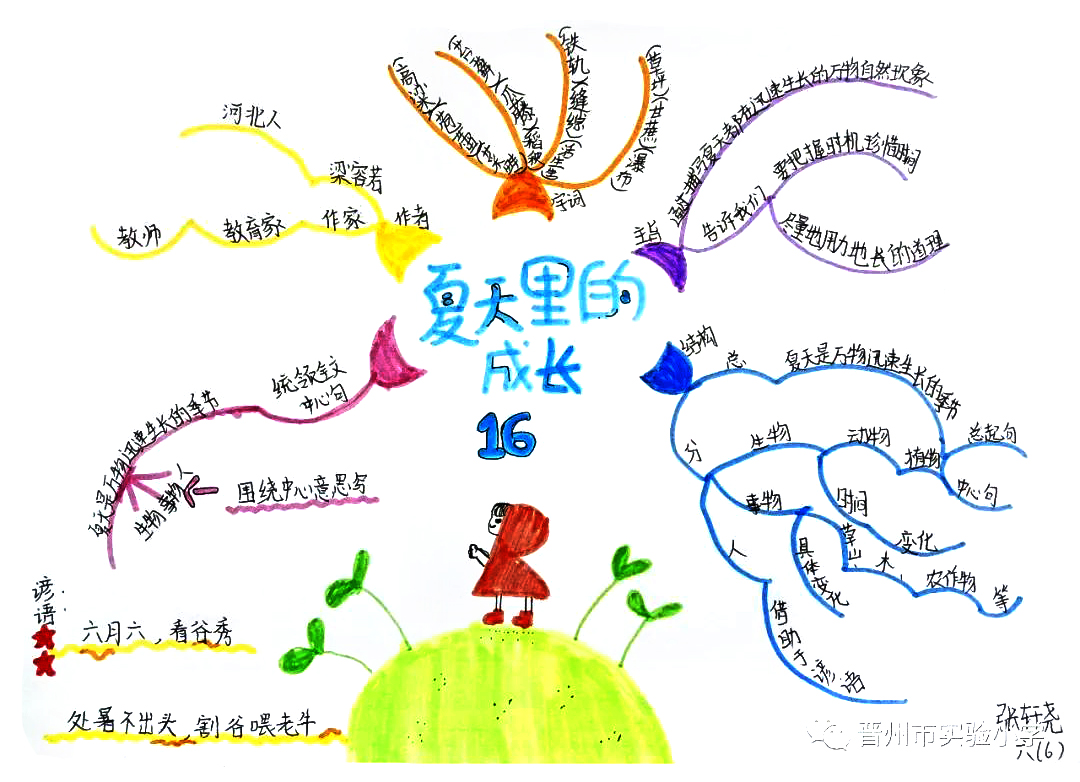 小学语文思维导图 六年级《夏日里的成长》思维导图-第11张