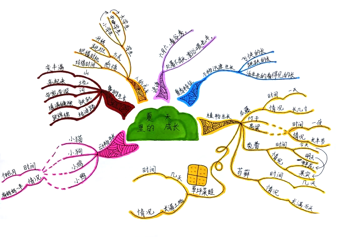 小学语文思维导图 六年级《夏日里的成长》思维导图-第8张