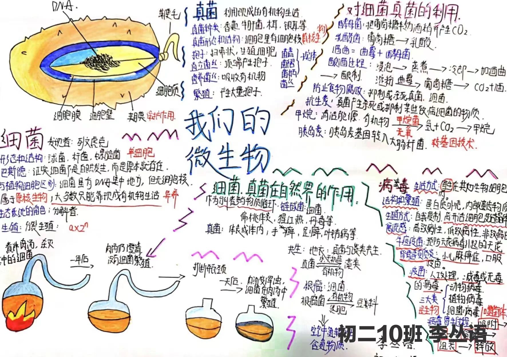 生物圈中的微生物思维导图-第7张