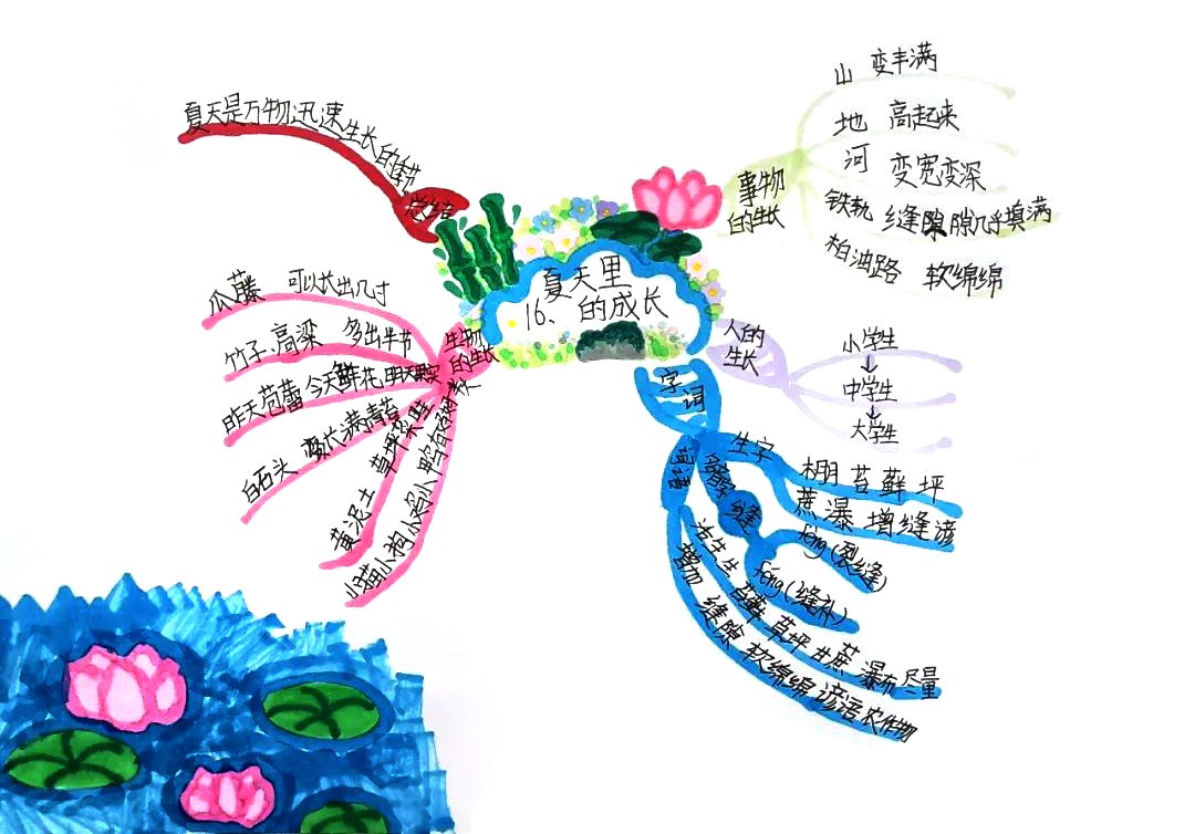 小学语文思维导图 六年级《夏日里的成长》思维导图-第9张