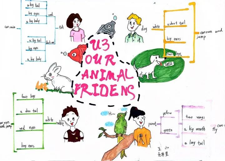 五年级英语unit3 Our animal friends学习思维导图-第1张