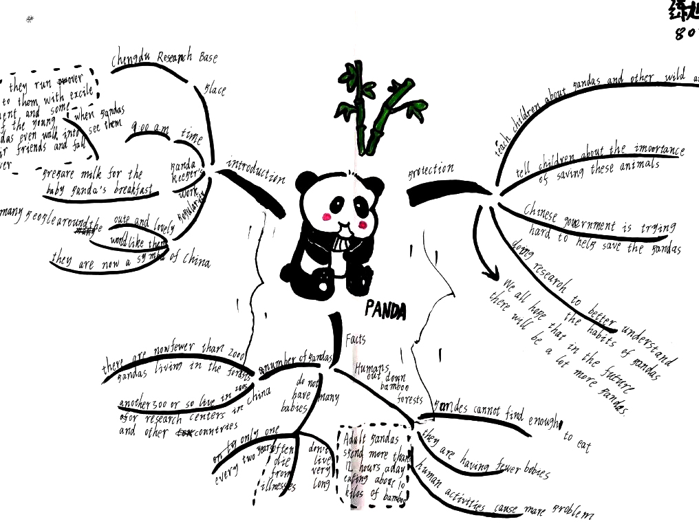 八年级英语unit5 熊猫主题思维导图-第4张