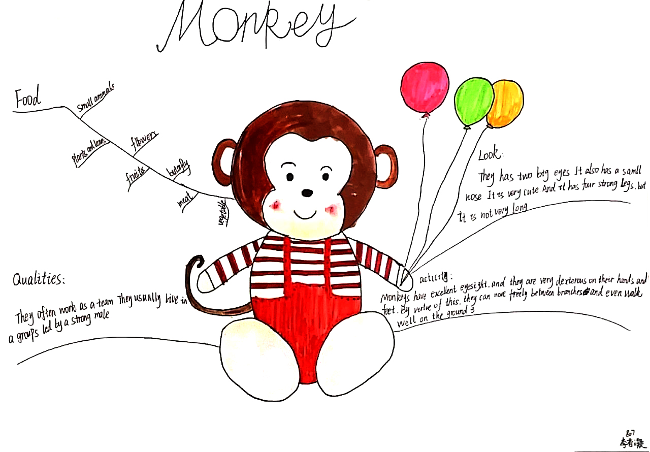 八年级英语unit5 猴子主题思维导图