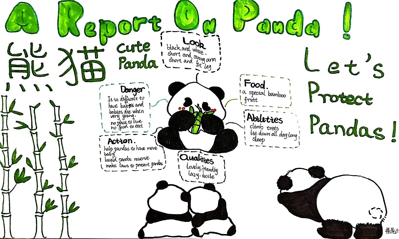 八年级英语unit5 熊猫主题思维导图-第9张