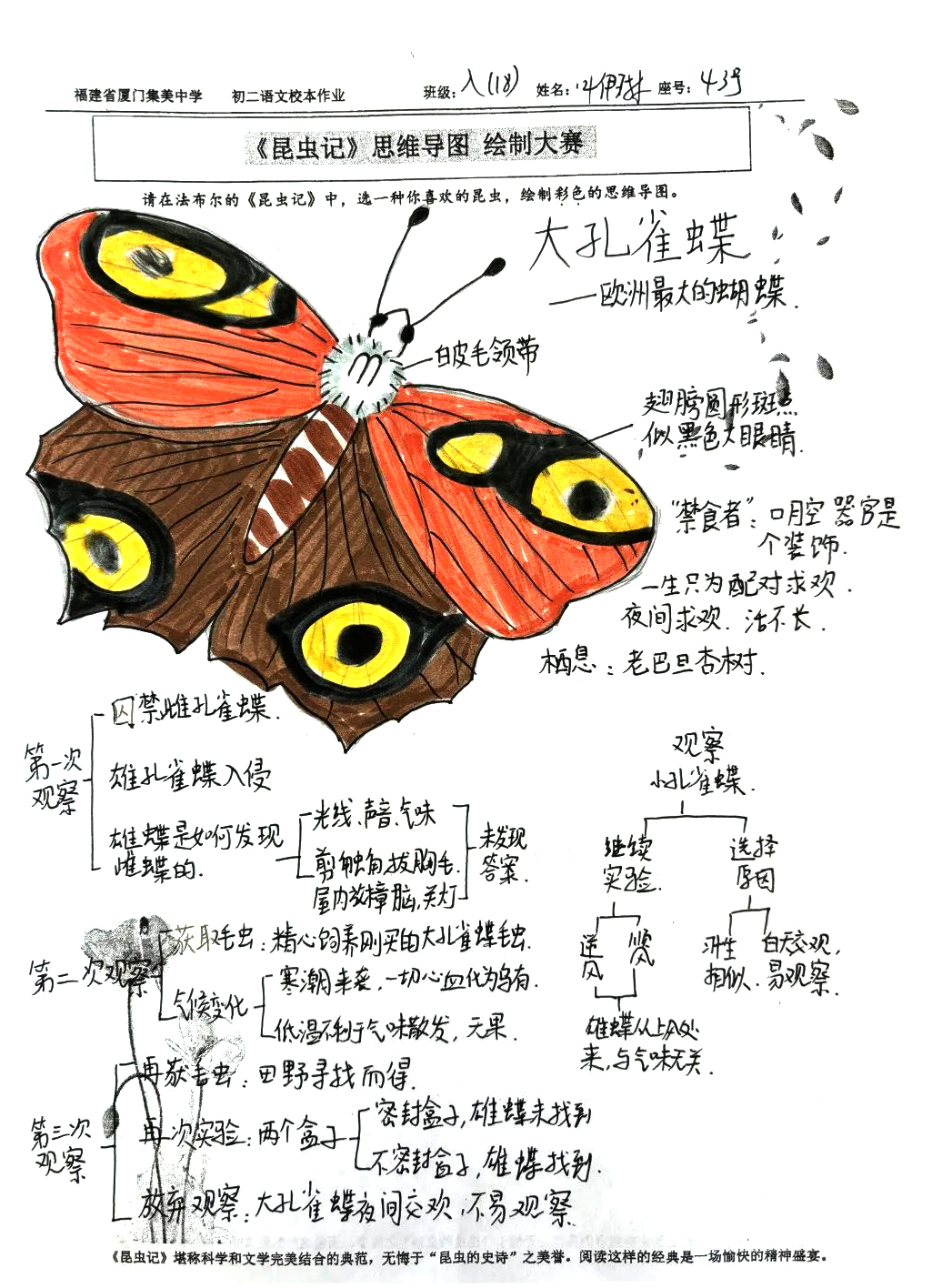 《昆虫记》之大孔雀蝶介绍思维导图-第3张