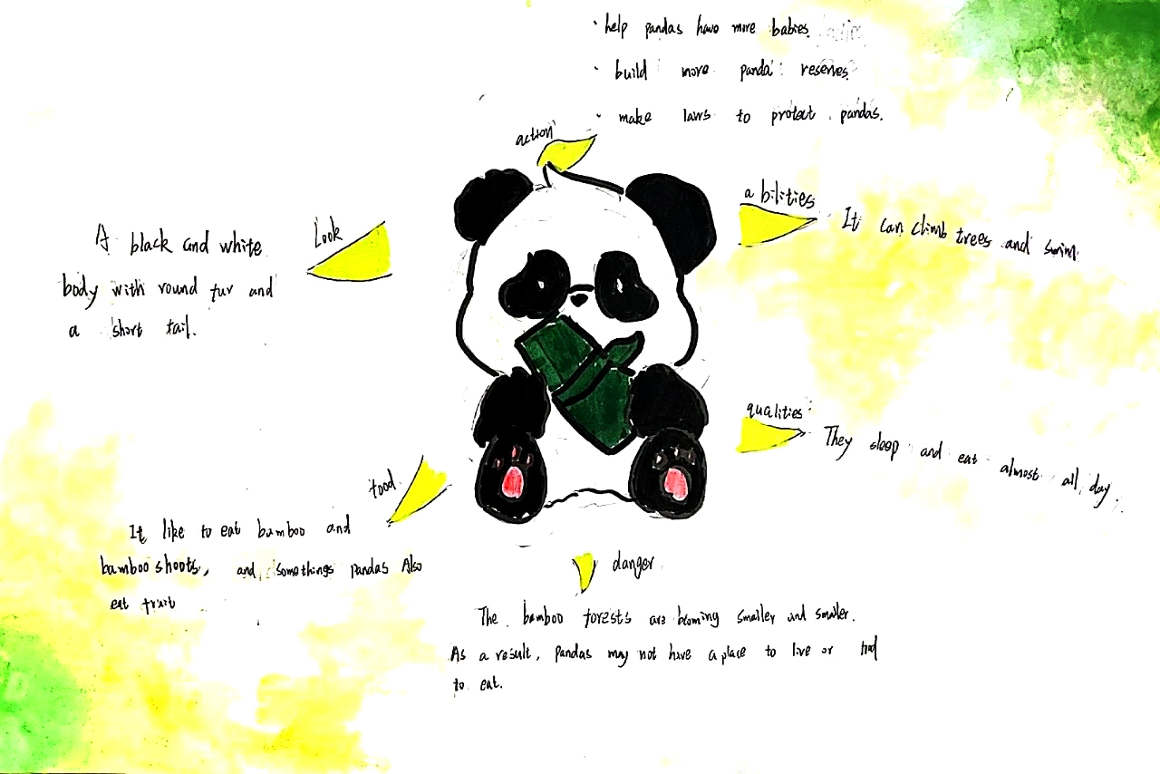 八年级英语unit5 熊猫主题思维导图-第7张