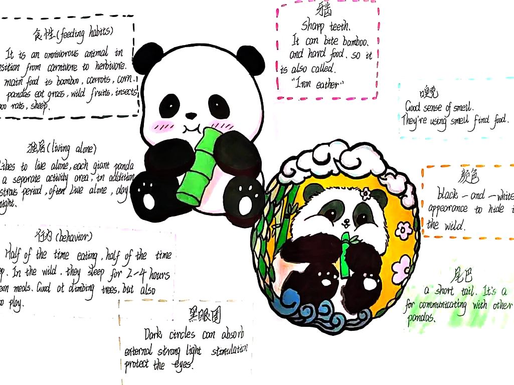 八年级英语unit5 熊猫主题思维导图-第2张