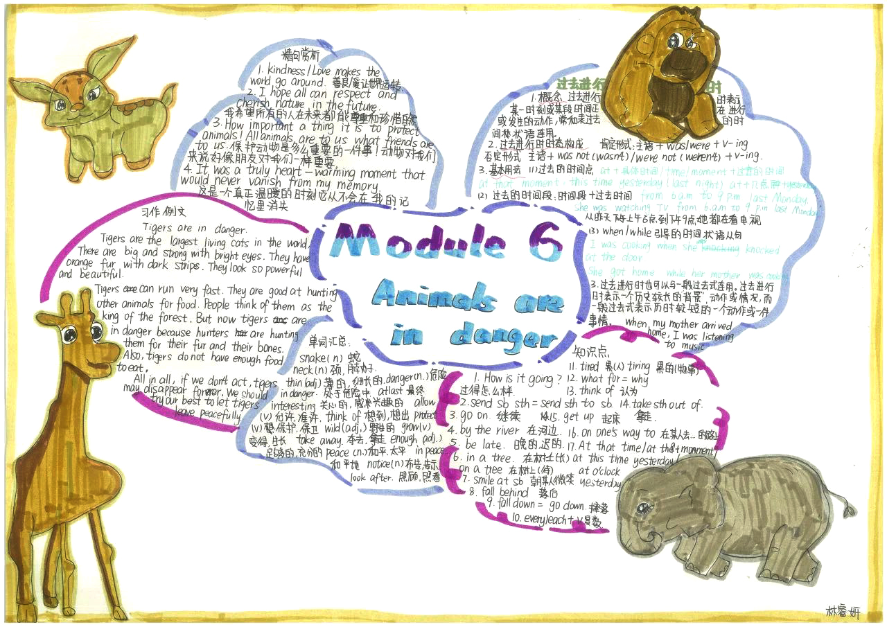 八年级英语module6思维导图-第3张