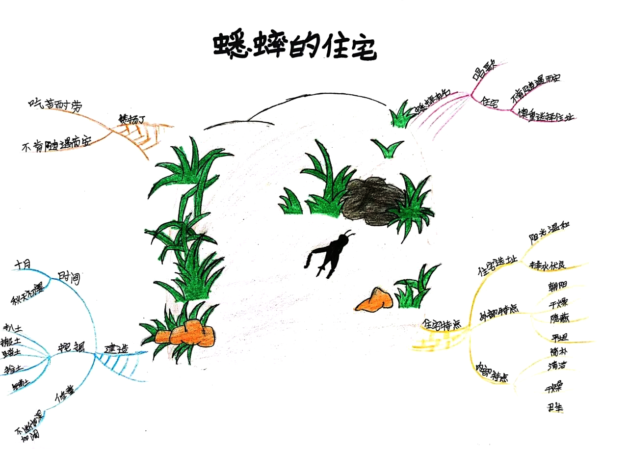 四年级上册语文第11课《蟋蟀的住宅》思维导图