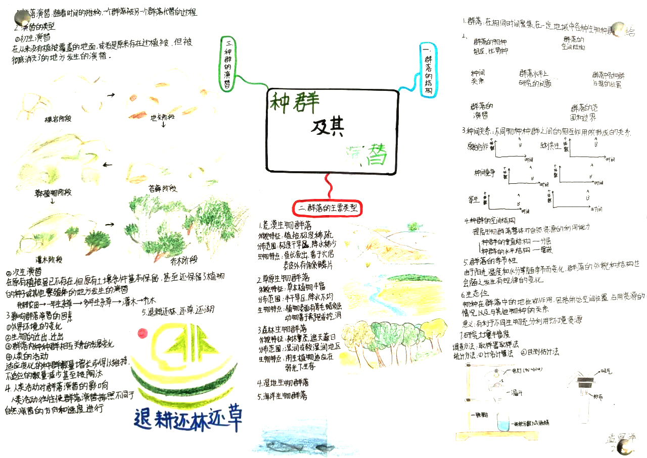 高二生物 选择性必修二 第2章 群落及其演替思维导图-第2张