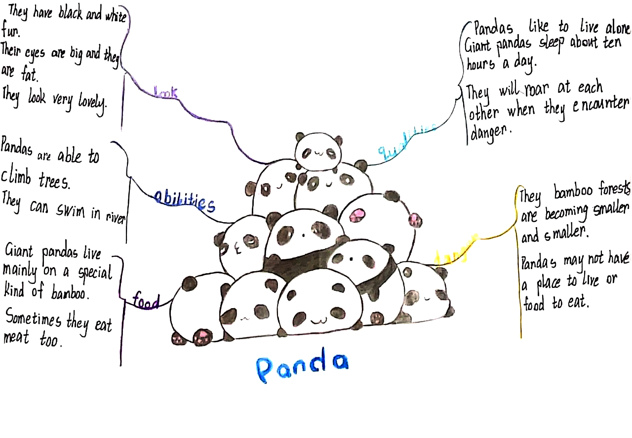 八年级英语unit5 熊猫主题思维导图-第8张