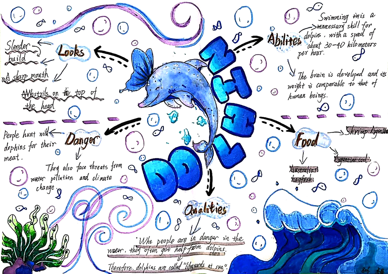 八年级英语unit5 海豚主题思维导图